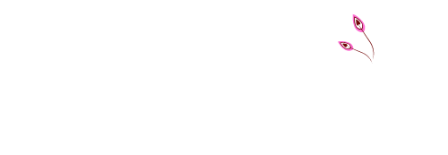 Horse & Balance Shiatsu